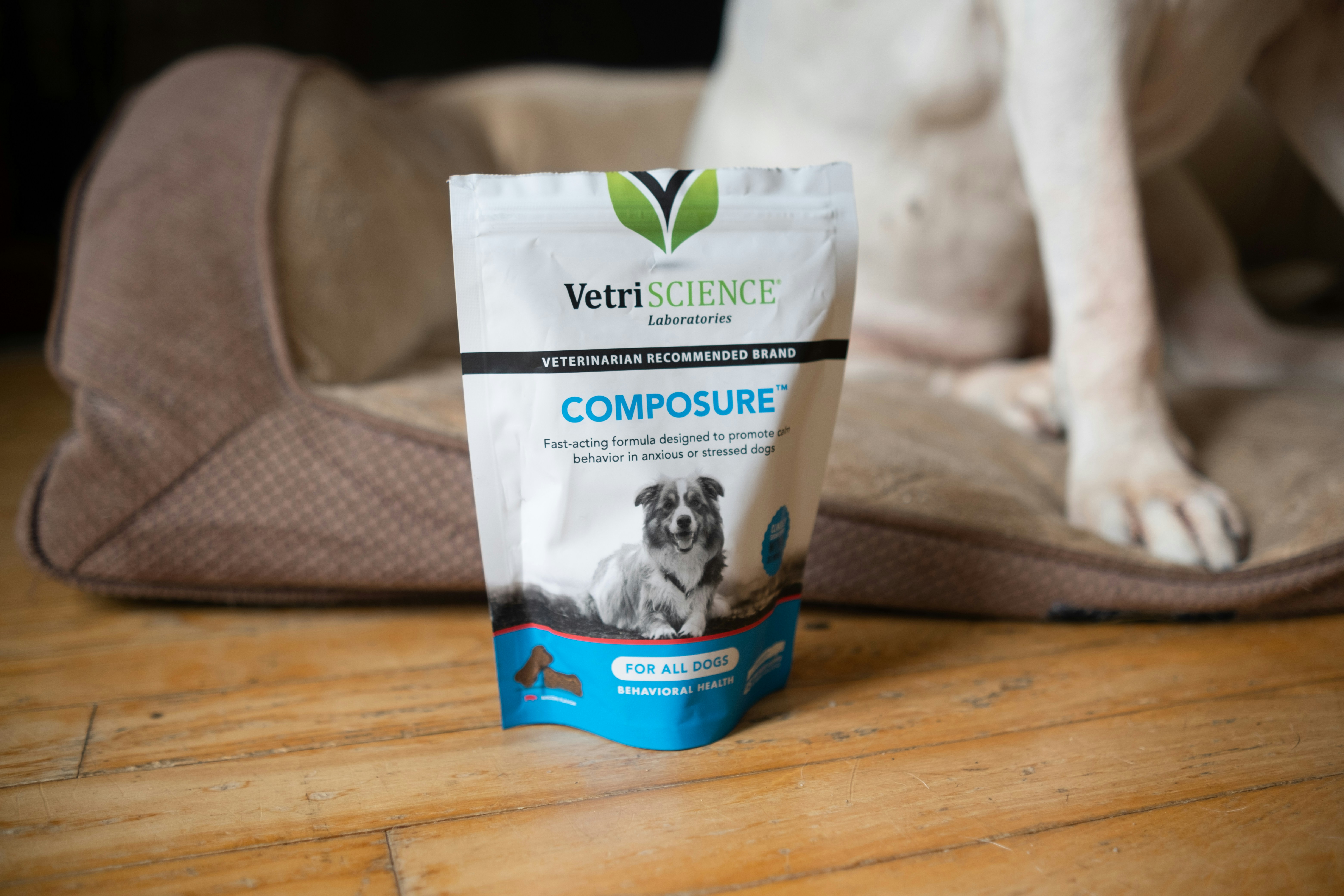 10 Promotion Ideas For Companion Supplement Brands
